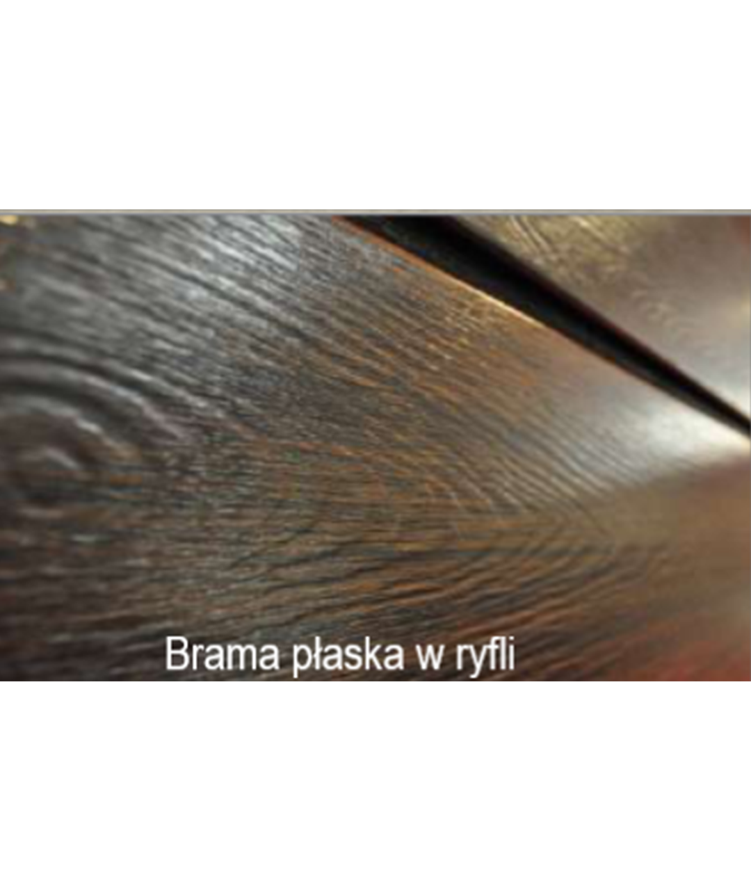 Brama płaska w ryfli